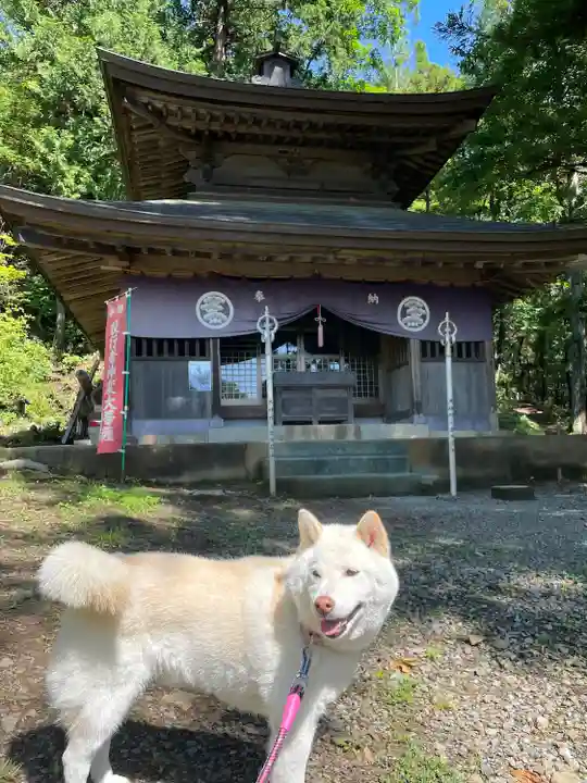 大善寺(山梨県)