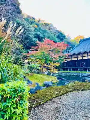 円覚寺(神奈川県)