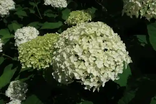 性海寺(愛知県)