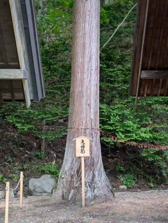 高宮神社の{uncategorized: "未分類", other: "その他", undefined: "問題あり", building: "その他建物", grave: "お墓", sacred_gate: "鳥居", guardian: "狛犬", statue: "像", buddha: "仏像", history: "歴史", nature: "自然", garden: "庭園", animal: "動物", pagoda: "塔", temizu: "手水舎", mountain_gate: "山門・神門", sanctuary: "本殿・本堂", subordinate: "末社・摂社", art: "芸術", scenery: "景色", jizo: "地蔵", ema: "絵馬", goshuin: "御朱印", omikuji: "おみくじ", items: "授与品その他", amulet: "お守り", goshuincho: "御朱印帳", eats: "食事", festival: "お祭り", votive_dance: "神楽", shichigosan: "七五三参", wedding: "結婚式", experience: "体験その他", initially: "初詣", around: "周辺", anti_infection: "感染症対策"}