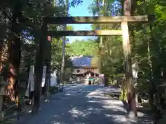 椿大神社の鳥居