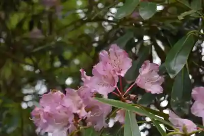 比叡山延暦寺の周辺