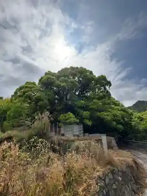 大山祇神社奥の院 生樹の御門(愛媛県)
