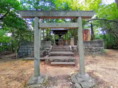 八龍神社(大森八龍)の鳥居