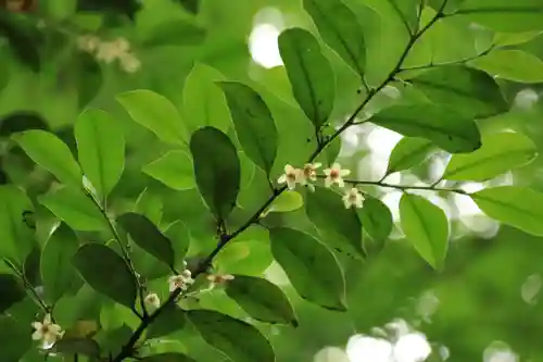 三春大神宮の庭園