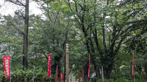 観音寺奥之院の自然