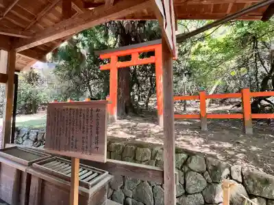 春日大社(奈良県)