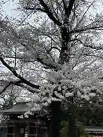 諏訪神社のその他建物