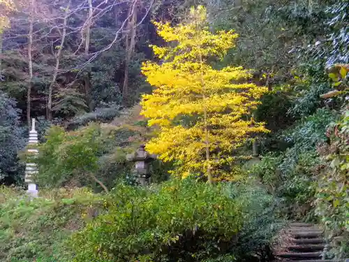 安國論寺（安国論寺）の自然