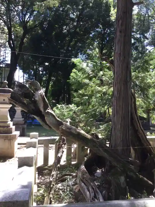 弓削神社(山梨県)