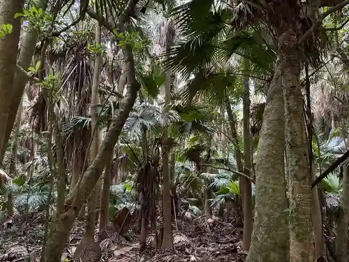 青島神社（青島神宮）(宮崎県)