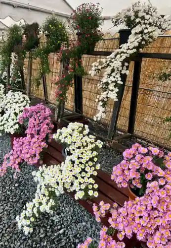 焼津神社(静岡県)