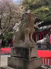 徳島眉山天神社の狛犬