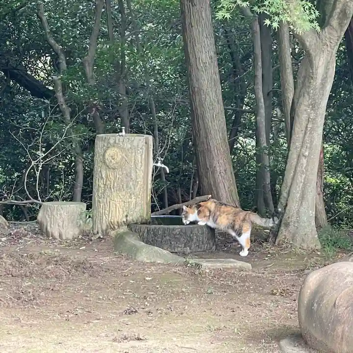 玉野御嶽神社(愛知県)