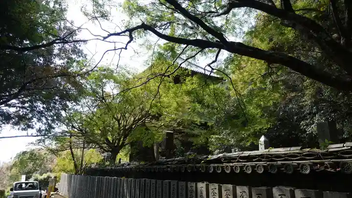 熊谷寺(徳島県)