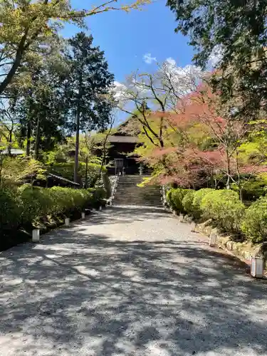 園城寺（三井寺）のその他建物