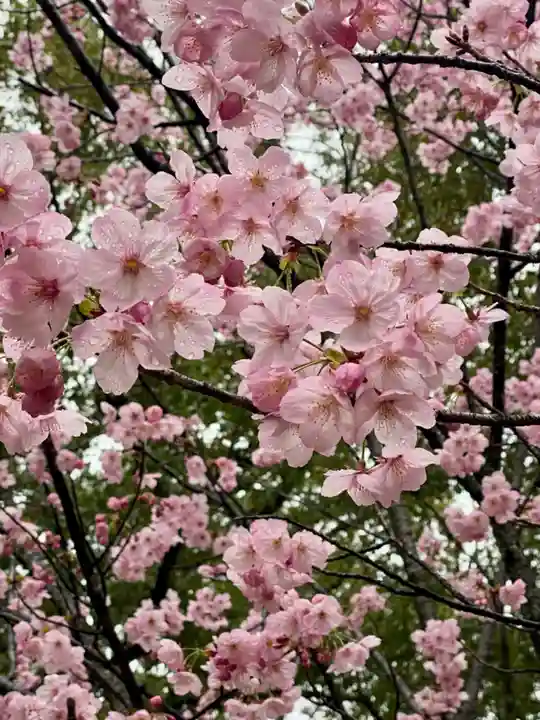 御香宮神社(京都府)