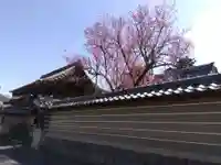 城福寺の自然