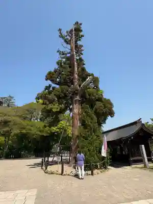 吉備津彦神社(岡山県)