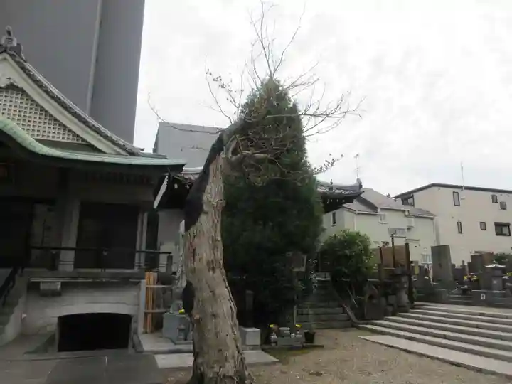 南蔵院(東京都)