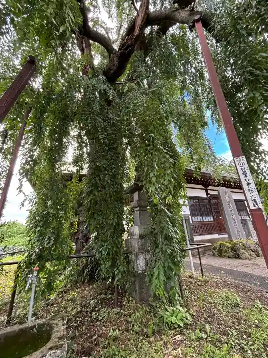 林昌寺(群馬県)