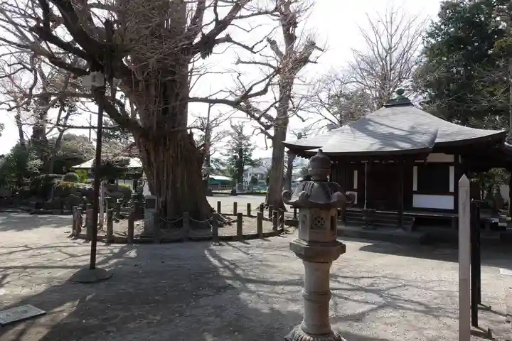 勝福寺(神奈川県)