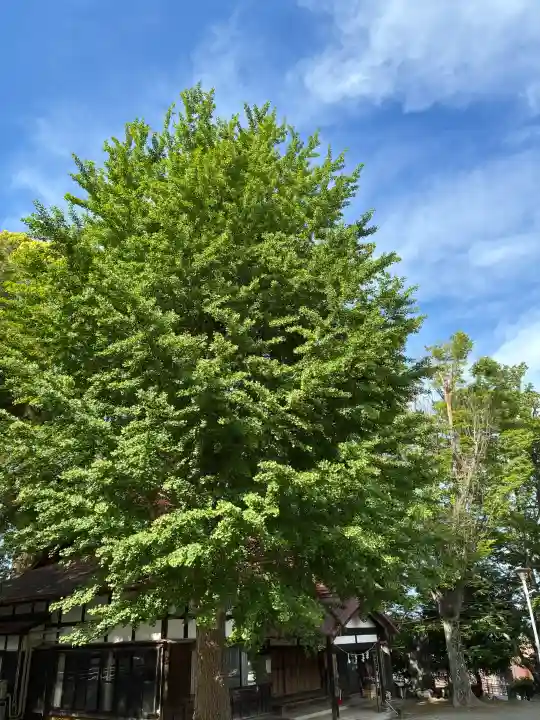 下多賀神社の{uncategorized: "未分類", other: "その他", undefined: "問題あり", building: "その他建物", grave: "お墓", sacred_gate: "鳥居", guardian: "狛犬", statue: "像", buddha: "仏像", history: "歴史", nature: "自然", garden: "庭園", animal: "動物", pagoda: "塔", temizu: "手水舎", mountain_gate: "山門・神門", sanctuary: "本殿・本堂", subordinate: "末社・摂社", art: "芸術", scenery: "景色", jizo: "地蔵", ema: "絵馬", goshuin: "御朱印", omikuji: "おみくじ", items: "授与品その他", amulet: "お守り", goshuincho: "御朱印帳", eats: "食事", festival: "お祭り", votive_dance: "神楽", shichigosan: "七五三参", wedding: "結婚式", experience: "体験その他", initially: "初詣", around: "周辺", anti_infection: "感染症対策"}