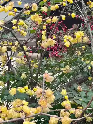 大蓮寺の{uncategorized: "未分類", other: "その他", undefined: "問題あり", building: "その他建物", grave: "お墓", sacred_gate: "鳥居", guardian: "狛犬", statue: "像", buddha: "仏像", history: "歴史", nature: "自然", garden: "庭園", animal: "動物", pagoda: "塔", temizu: "手水舎", mountain_gate: "山門・神門", sanctuary: "本殿・本堂", subordinate: "末社・摂社", art: "芸術", scenery: "景色", jizo: "地蔵", ema: "絵馬", goshuin: "御朱印", omikuji: "おみくじ", items: "授与品その他", amulet: "お守り", goshuincho: "御朱印帳", eats: "食事", festival: "お祭り", votive_dance: "神楽", shichigosan: "七五三参", wedding: "結婚式", experience: "体験その他", initially: "初詣", around: "周辺", anti_infection: "感染症対策"}