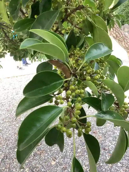 田縣神社(愛知県)