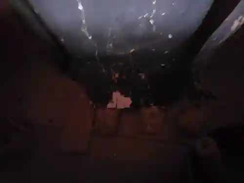 海善寺(三重県)