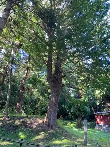 猿賀神社の自然