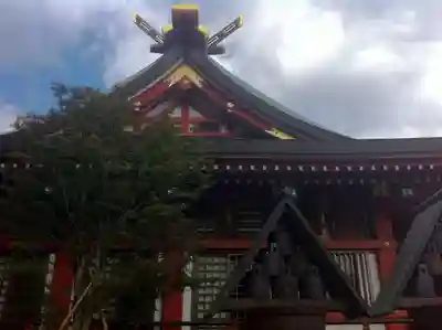大山阿夫利神社の本殿・本堂