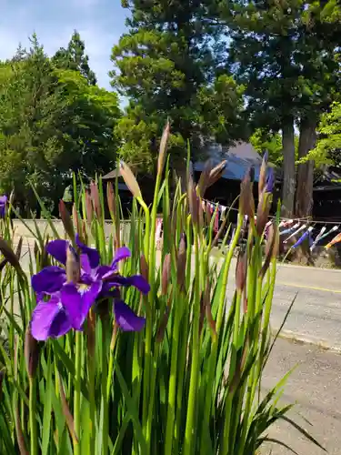 高司神社〜むすびの神の鎮まる社〜(福島県)
