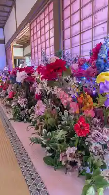 隨心院（随心院）(京都府)