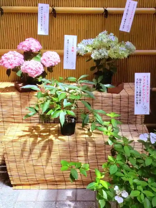 十番稲荷神社(東京都)