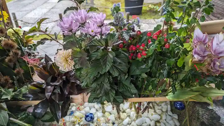 勝林寺(京都府)