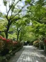 石山寺の{uncategorized: "未分類", other: "その他", undefined: "問題あり", building: "その他建物", grave: "お墓", sacred_gate: "鳥居", guardian: "狛犬", statue: "像", buddha: "仏像", history: "歴史", nature: "自然", garden: "庭園", animal: "動物", pagoda: "塔", temizu: "手水舎", mountain_gate: "山門・神門", sanctuary: "本殿・本堂", subordinate: "末社・摂社", art: "芸術", scenery: "景色", jizo: "地蔵", ema: "絵馬", goshuin: "御朱印", omikuji: "おみくじ", items: "授与品その他", amulet: "お守り", goshuincho: "御朱印帳", eats: "食事", festival: "お祭り", votive_dance: "神楽", shichigosan: "七五三参", wedding: "結婚式", experience: "体験その他", initially: "初詣", around: "周辺", anti_infection: "感染症対策"}
