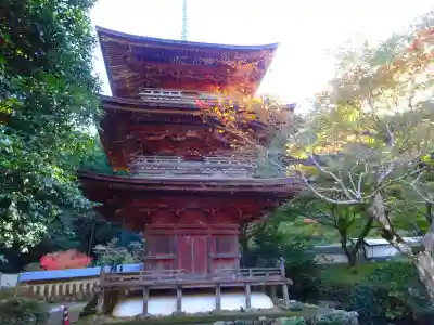 清滝寺徳源院(滋賀県)