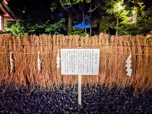 東京大神宮の自然