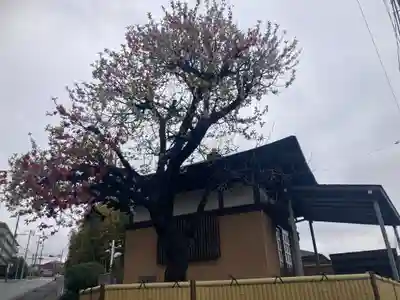 土橋観音堂(神奈川県)