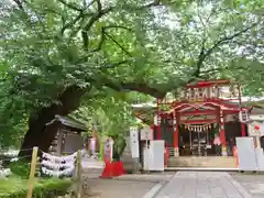 居木神社の建物その他