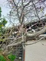 浄福寺(和歌山県)