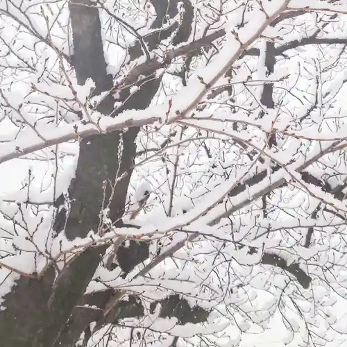 尾張大國霊神社（国府宮）の自然