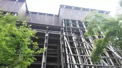 清水寺の本殿・本堂