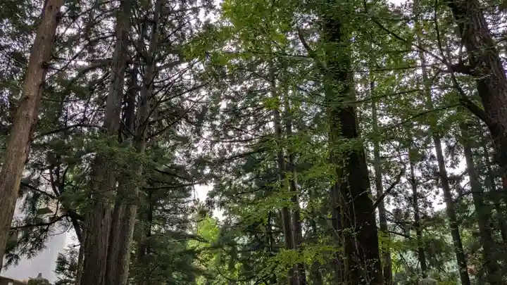 白山神社の自然