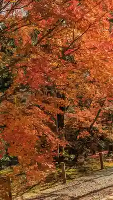 龍安寺(京都府)