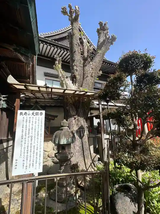 松山神社(愛知県)