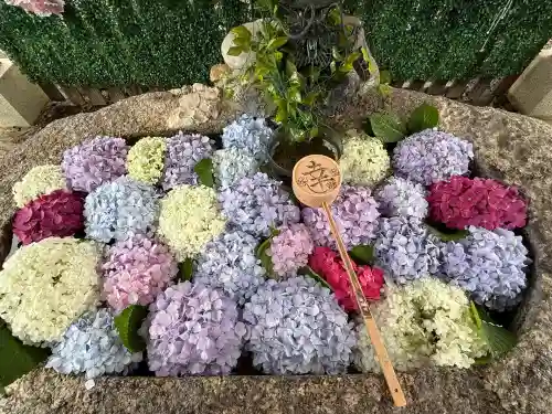 別小江神社(愛知県)