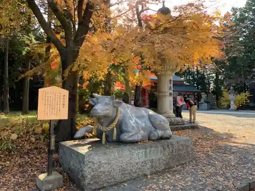 冨士御室浅間神社の狛犬