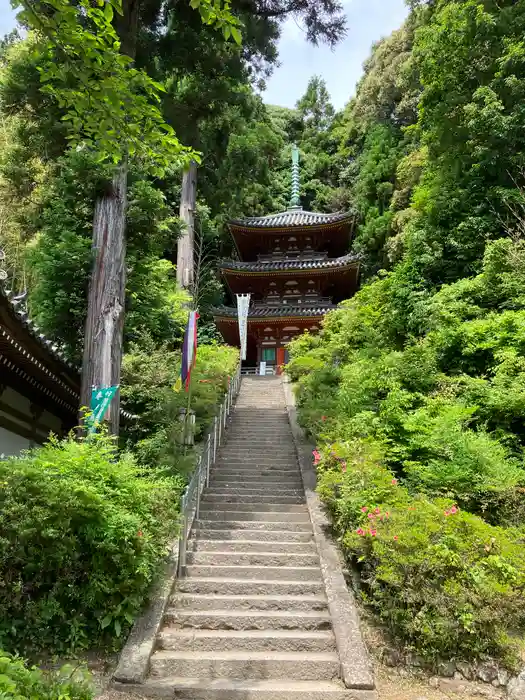 松尾寺の建物その他